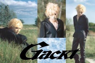 Gackt Wallpapers   Sreyux