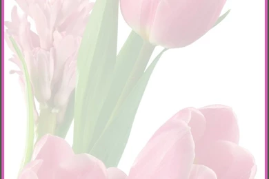 Free Tulips Stationery, Free Printable Tulips Backgrounds ...