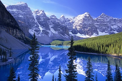 Wonderful Hd Desktop Backgrounds Nature