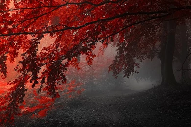 Multi Monitor Dual Screen Widescreen Wallpapers