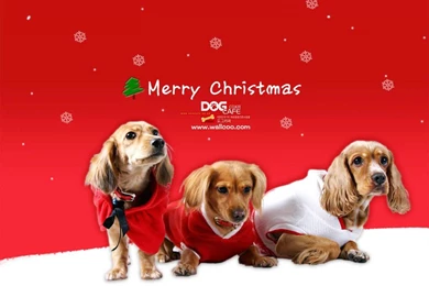 Dog Cafe Merry Christmas Wallpapers   Dogs Wallpapers