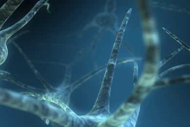 Abstract Blue Dual Screen Neurons Wallpapers