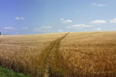 Dual Screen Scenes Of Nature   HD Wallpapers Widescreen   3840x1200