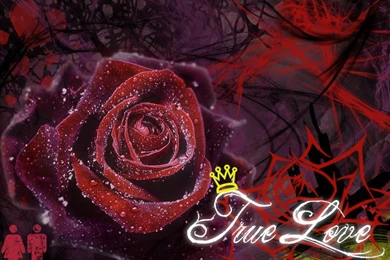 Wallpapers Love Free