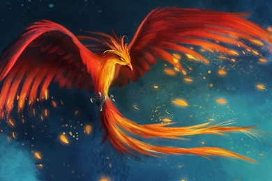 Fonds D'écran Phoenix : Tous Les Wallpapers Phoenix