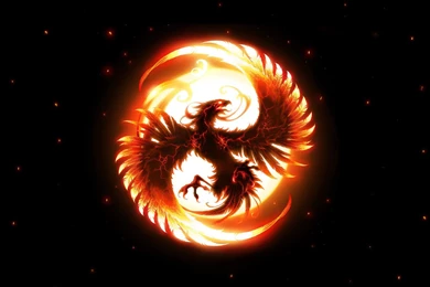 Phoenix, Digital art, 1920x1200 HD Wallpapers And FREE Stock Photo