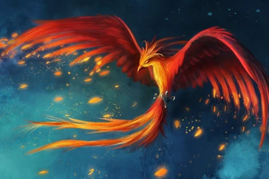 Phoenix Bird Wallpapers   Wallpapers Cave