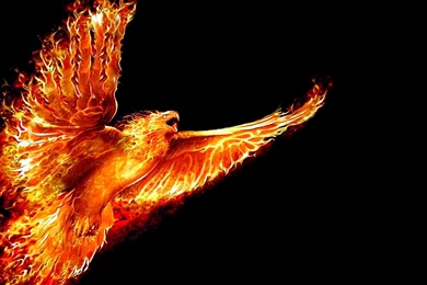 A New Beginning Computer Wallpapers, Desktop Backgrounds ...