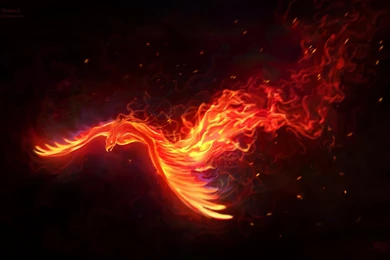 Black And Red Wallpapers   (