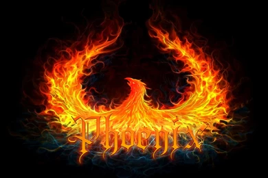 Phoenix Flames Logo   (