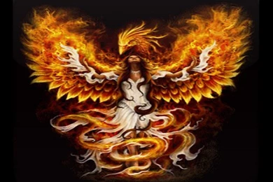 Phoenix Live Wallpapers Android Apps And Tests AndroidPIT