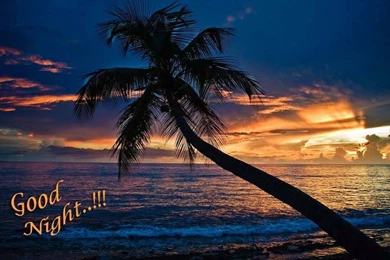 Lovely Good Night Wallpapers ~ Allfreshwallpapers