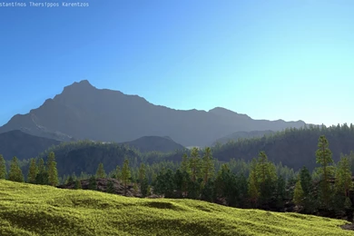 1920x1200 Forest Scene Desktop PC And Mac Wallpapers