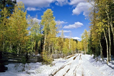 Winter Wonderland Scene, Canada < Nature < Life < Desktop Wallpapers