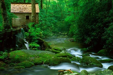 Small Forest Watermill   Nature Wallpapers
