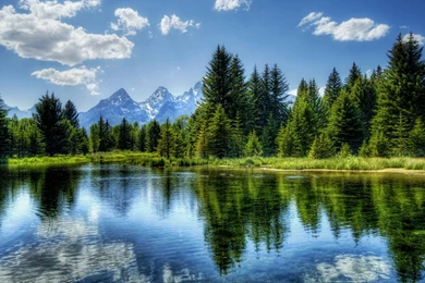 Landscape Nature Reflection Lake Mirror Forest Woods Wallpapers Hd ...