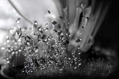 Crystal Ball Wallpapers