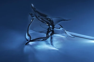 3D Crystal Roses Pictures