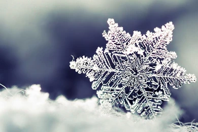 Wallpapers Download 1920x1080 Beautiful Crystal Snowflake   Macro ...