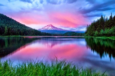 HD Wallpapers Nature   HD Wallpaper Backgrounds Of Your Choice