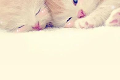 Cute Android Wallpapers – Androidwalls.org