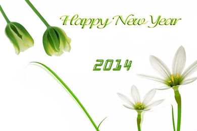 25 Mind Blowing New Year Wallpapers – Life Quotes