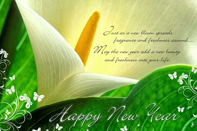 New Year Wallpapers Collection   HD Wallpapers