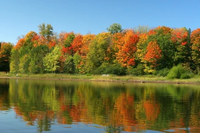 Nature, Scene, Lake, View (