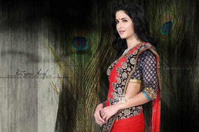 Gorgeous Katrina Kaif Sexy HD Wallpapers   Imgth