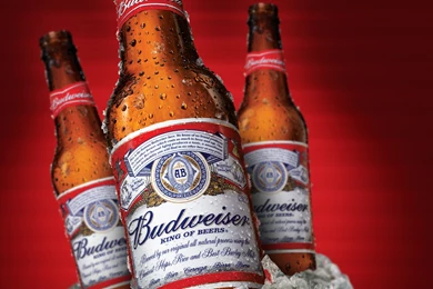 Beers Budweiser Ice Cubes
