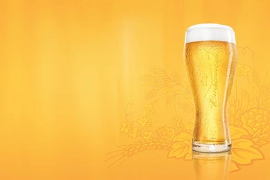 Beer, Glass, Budweiser, Foam Wallpaper, Backgrounds 55070