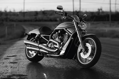 Wallpapers Harley Davidson