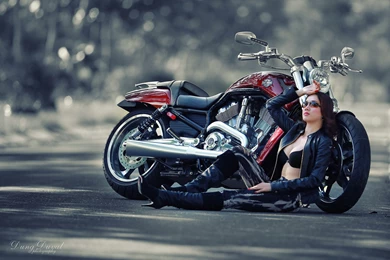 Harley Davidson Wallpapers For Android Wallpapers Zone