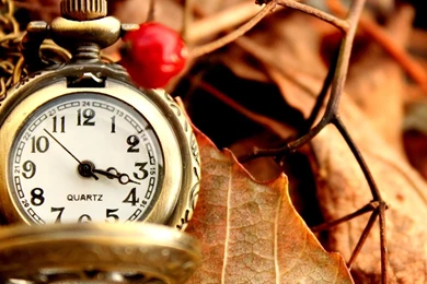 Beautiful Vintage Watch iPad Wallpapers Download
