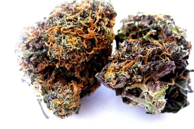 Purple Kush Strain Review