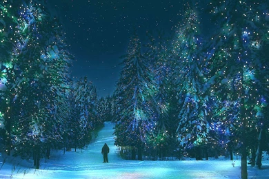 Free Backgrounds Wallpapers For Computer   4 Items