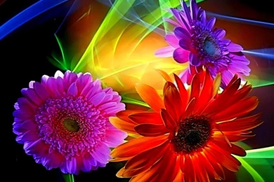 Android 960×800 wallpaper 1695