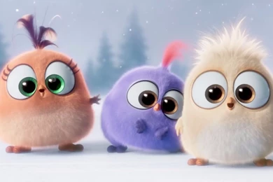 Cute The Angry Birds Movie 4K Wallpapers