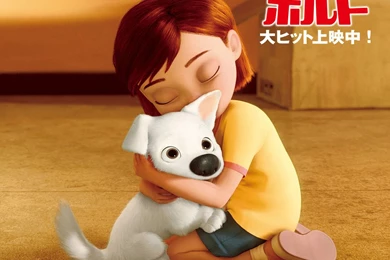 Bolt Wallpapers By BoltKennel On DeviantArt