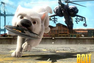 Bolt Wallpapers   Disney's Bolt Wallpapers (6251552)   Fanpop