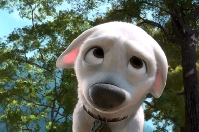 Wallpapers Disney Bolt Cartoons Image