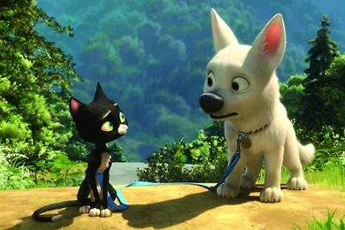 Bolt Cat Bolt – Entertainment Movies HD Desktop Wallpapers