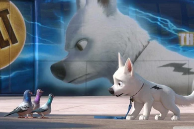 Bolt And Pigeons 1 HD Desktop Wallpapers : High Definition : Mobile