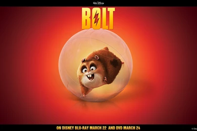 Rhino Solo Wallpapers   Disney's Bolt Wallpapers (5566676)   Fanpop