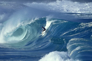 Wallpapers Big Wave Surfing Hawaii Sports Free Hd 2560x1600 ...