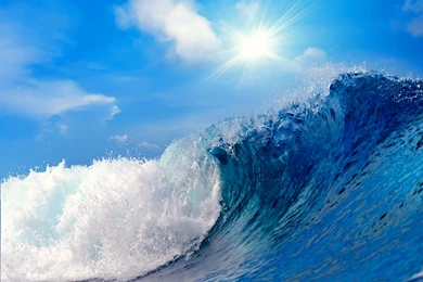 Humans Have Bacteria Types Like Blood Types, The Big Wave ...