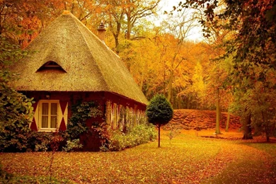 Autumn Scenes Wallpapers 2   Seasonal   Crazy Frankenstein