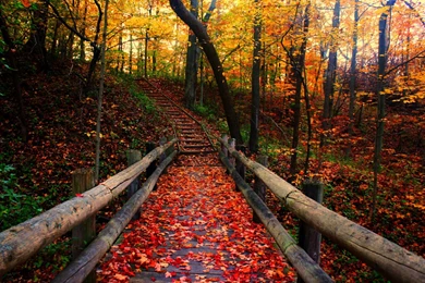 30 Most Beautiful Autumn Wallpapers HD   MixHD Wallpapers