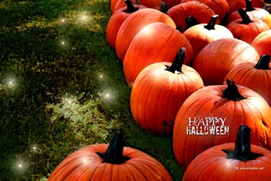 Fall Scene Wallpapers With Pumpkins