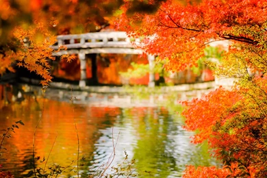 Jeffrey Friedl's Blog » Visiting My Photo Archives: Random Pretty ...